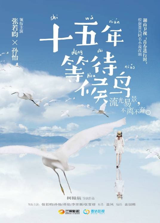 十五年等待候鸟(2016年张若昀、孙怡主演的青春偶像剧)