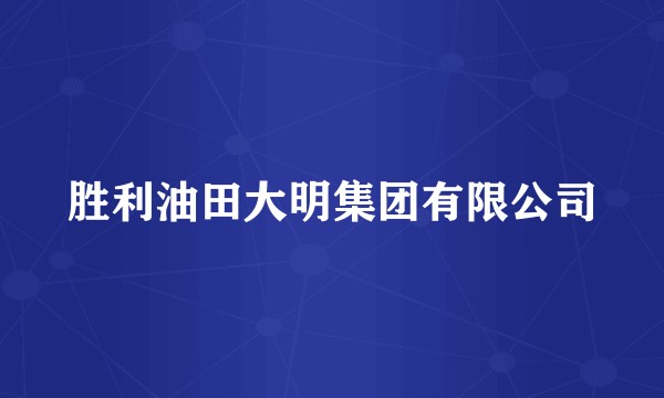 胜利油田大明集团有限公司