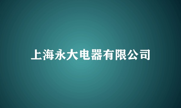上海永大电器有限公司