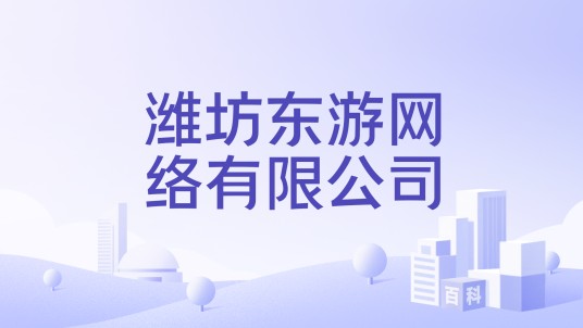 潍坊东游网络有限公司