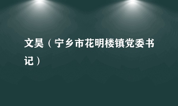 文昊（宁乡市花明楼镇党委书记）