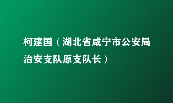 柯建国（湖北省咸宁市公安局治安支队原支队长）