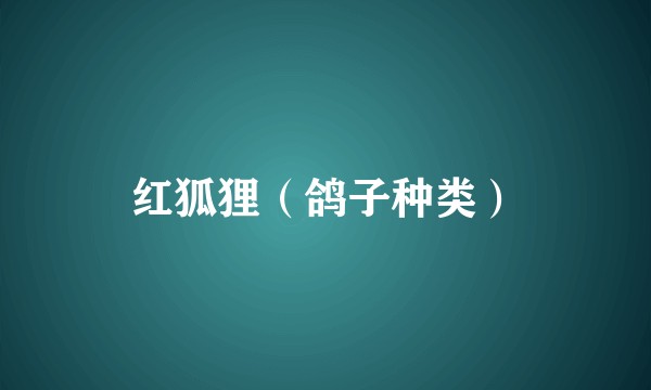红狐狸（鸽子种类）