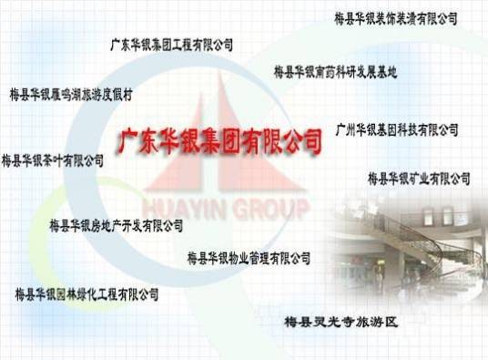 广东华银集团有限公司