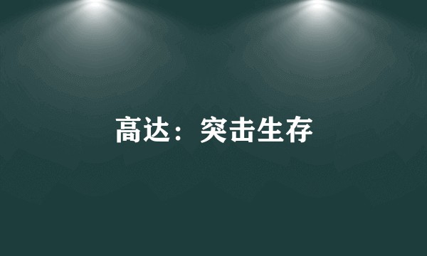 高达：突击生存