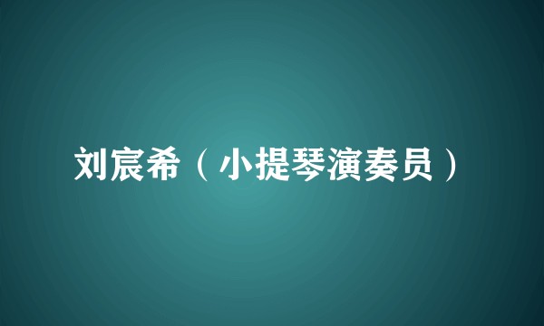 刘宸希（小提琴演奏员）