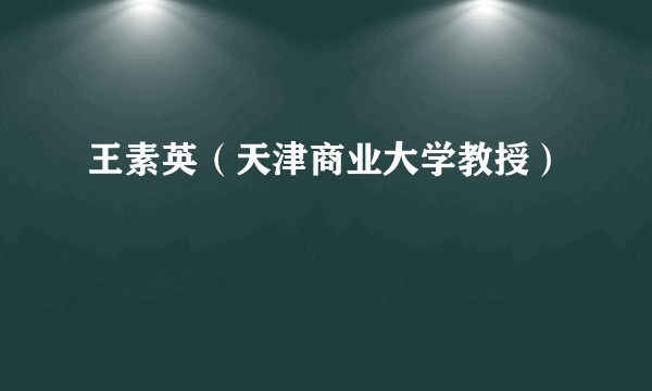 王素英（天津商业大学教授）