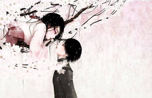 落花时节又逢君（2009年文化艺术出版社出版的图书）
