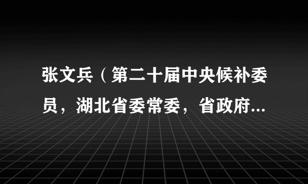 张文兵（第二十届中央候补委员，湖北省委常委，省政府常务副省长、党组副书记）