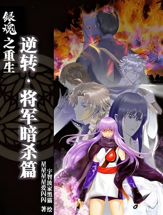 银魂之重生:逆转将军暗杀篇