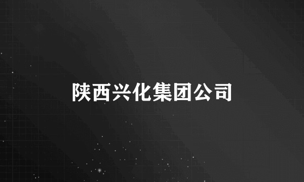 陕西兴化集团公司