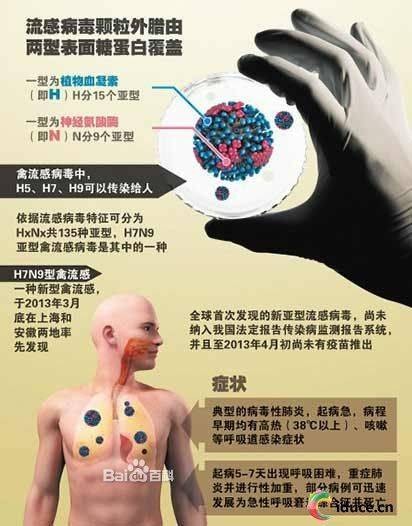 关于H7N9型禽流感的常见问题