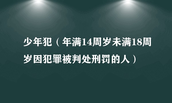少年犯（年满14周岁未满18周岁因犯罪被判处刑罚的人）