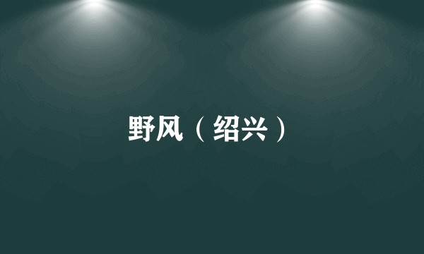 野风（绍兴）