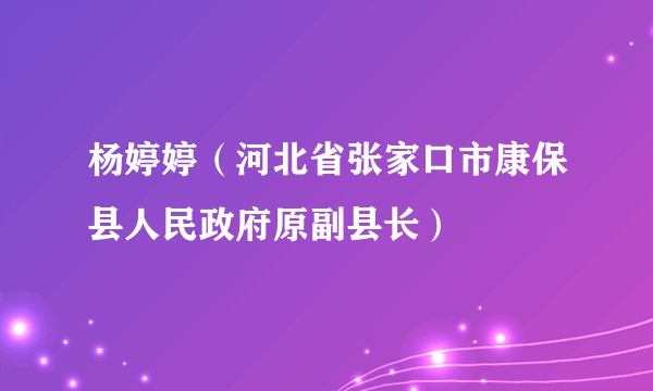 杨婷婷（河北省张家口市康保县人民政府原副县长）