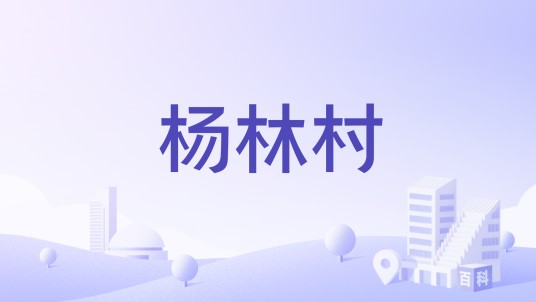 杨林村(山西省临猗县孙吉镇下辖村)