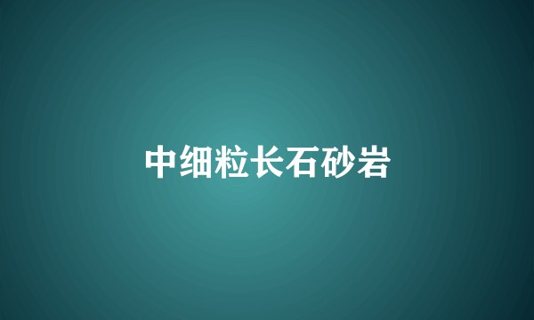 中细粒长石砂岩