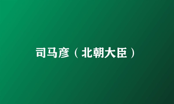 司马彦（北朝大臣）
