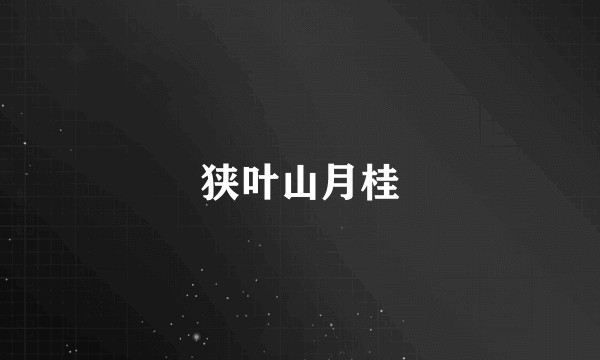 狭叶山月桂