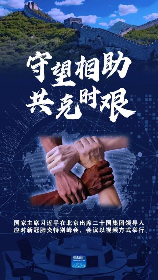 二十国集团领导人应对新冠肺炎特别峰会