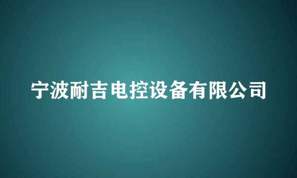 宁波耐吉电控设备有限公司
