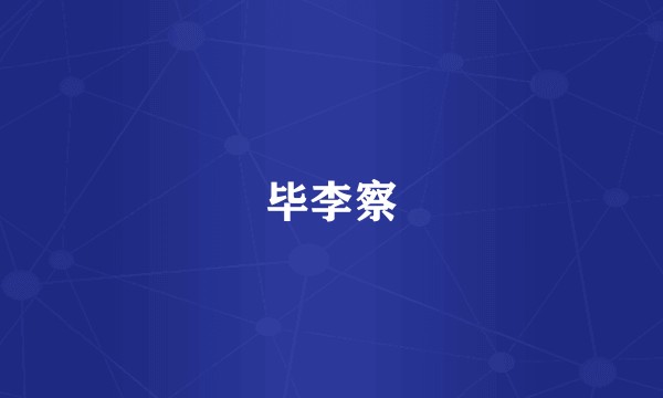 毕李察