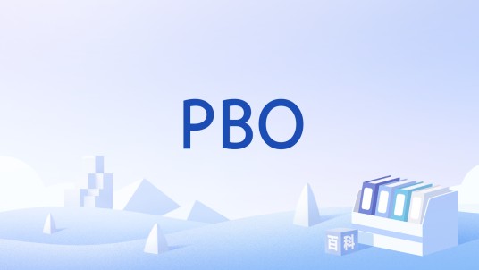 PBO（Project-Based Organizations 基于项目的组织）