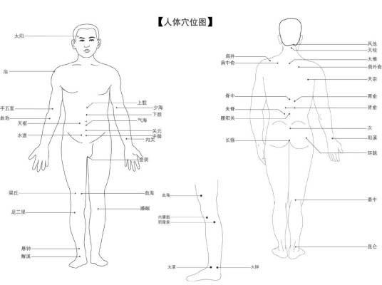 拔火罐穴位图