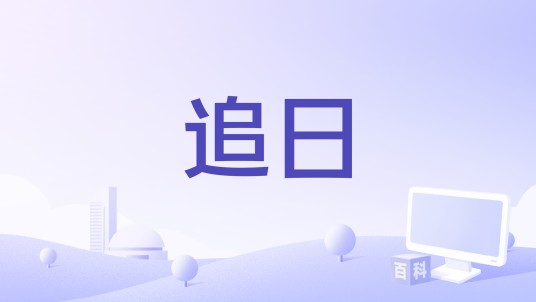追日（乐视影业出品的奇幻冒险题材合拍电影）
