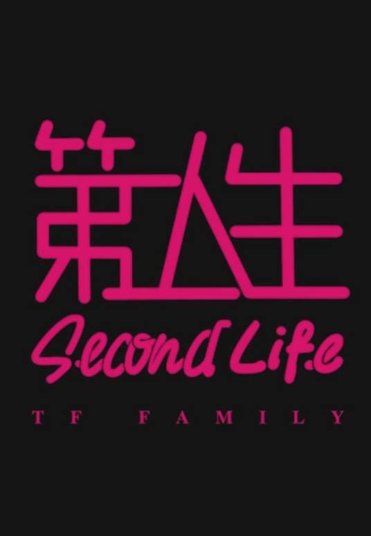 第二人生（2017年TF家族执导的剧情电视剧）