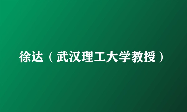 徐达（武汉理工大学教授）