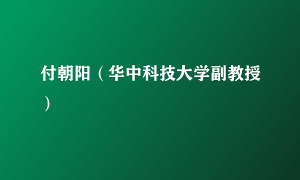 付朝阳（华中科技大学副教授）