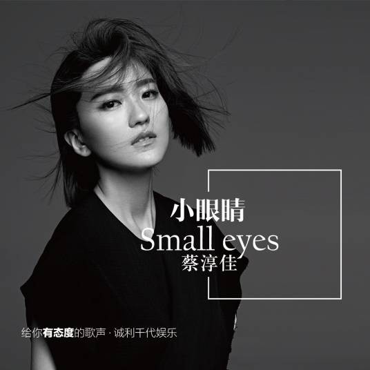 小眼睛（2015年蔡淳佳演唱的歌曲）