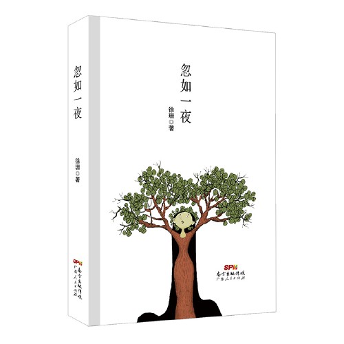 忽如一夜（2018年广东人民出版社出版的图书）