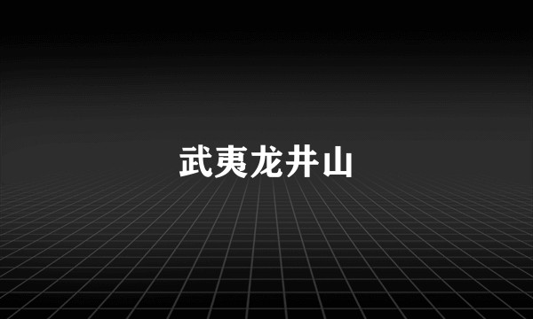 武夷龙井山