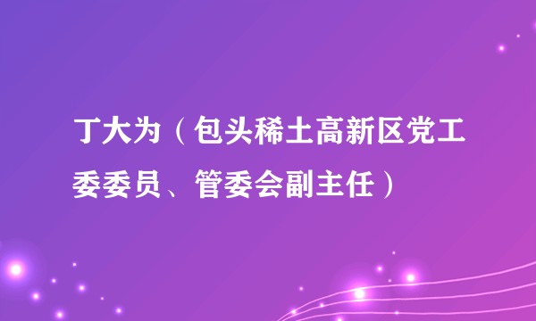 丁大为（包头稀土高新区党工委委员、管委会副主任）
