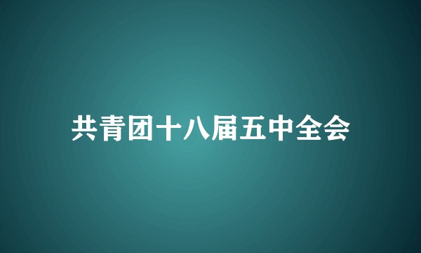 共青团十八届五中全会
