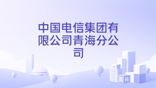 中国电信集团有限公司青海分公司
