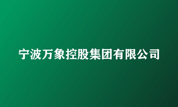 宁波万象控股集团有限公司