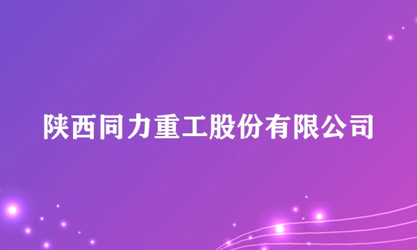 陕西同力重工股份有限公司