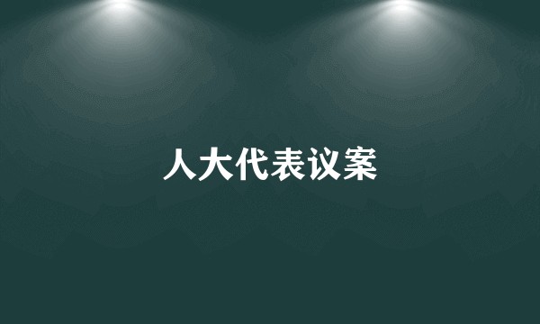 人大代表议案