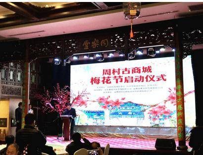 周村梅花节