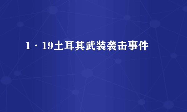 1·19土耳其武装袭击事件