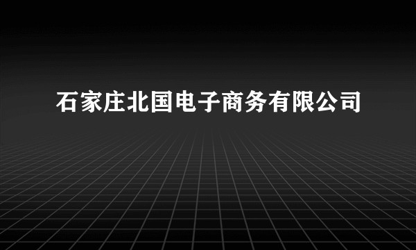 石家庄北国电子商务有限公司
