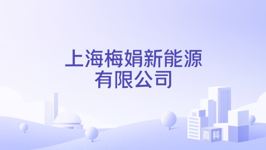 上海梅娟新能源有限公司