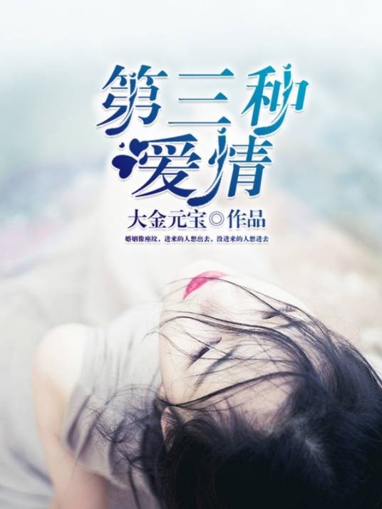 第三种爱情（大金元宝创作的网络小说）