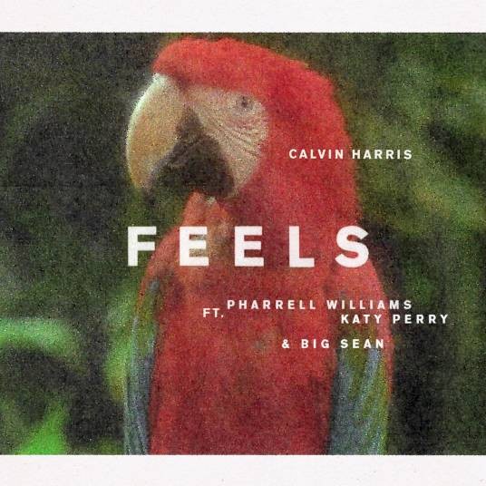 Feels（2017年加尔文·哈里斯与法瑞尔·威廉姆斯、凯蒂·佩里、大肖恩合作的歌曲）
