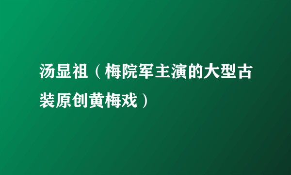 汤显祖（梅院军主演的大型古装原创黄梅戏）