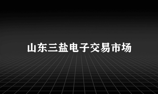 山东三盐电子交易市场