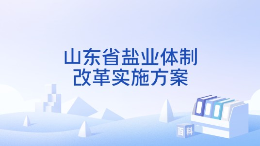 山东省盐业体制改革实施方案